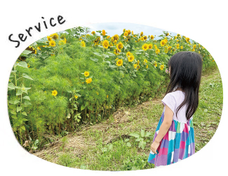 サービス案内