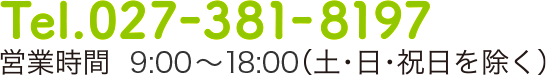 Tel.027-381-8173